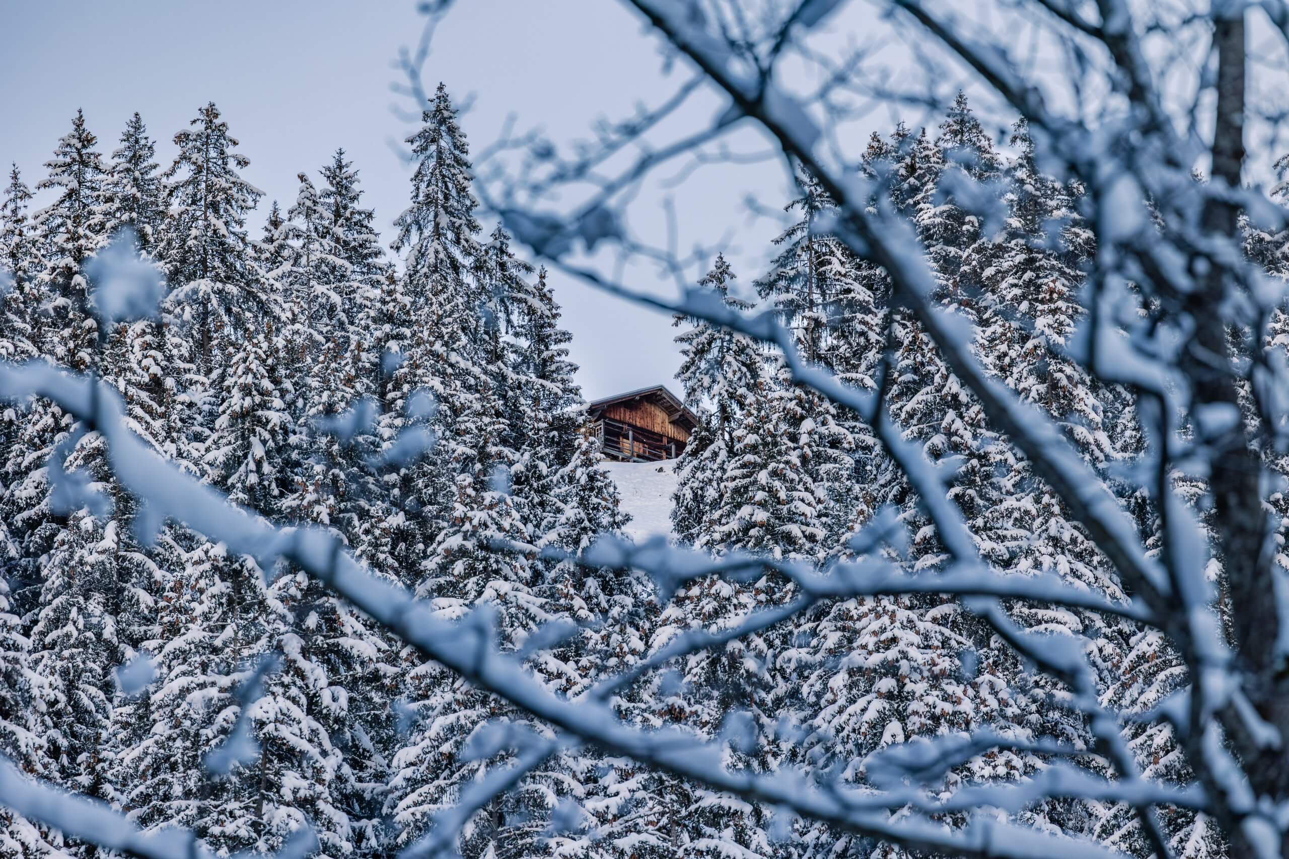 Verschneite Winterlandschaft mit einem Chalet, das zwischen den Bäumen oben am Hang hervorlugt.